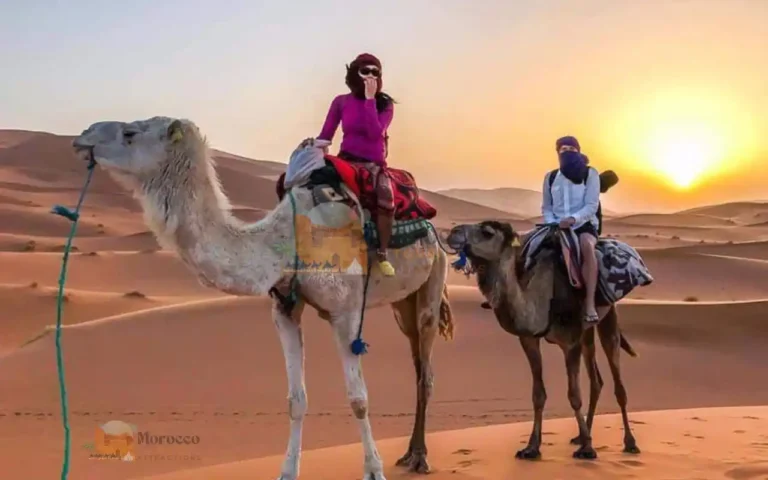 CAMEL-TREK-IN-MERZOUGA