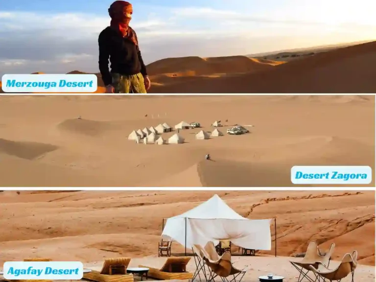 Sun-Camel-and-Sensations-From-Desert-Merzouga-Zagora-Agafay