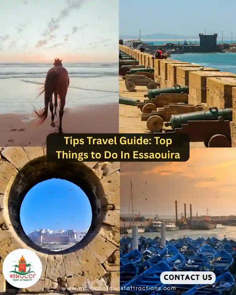 Tips Travel Guide Top Things to Do In Essaouira, Where to Stay
