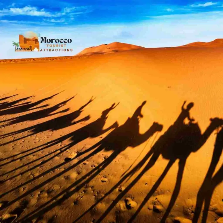 How to Ride a Camel In Morocco 2023